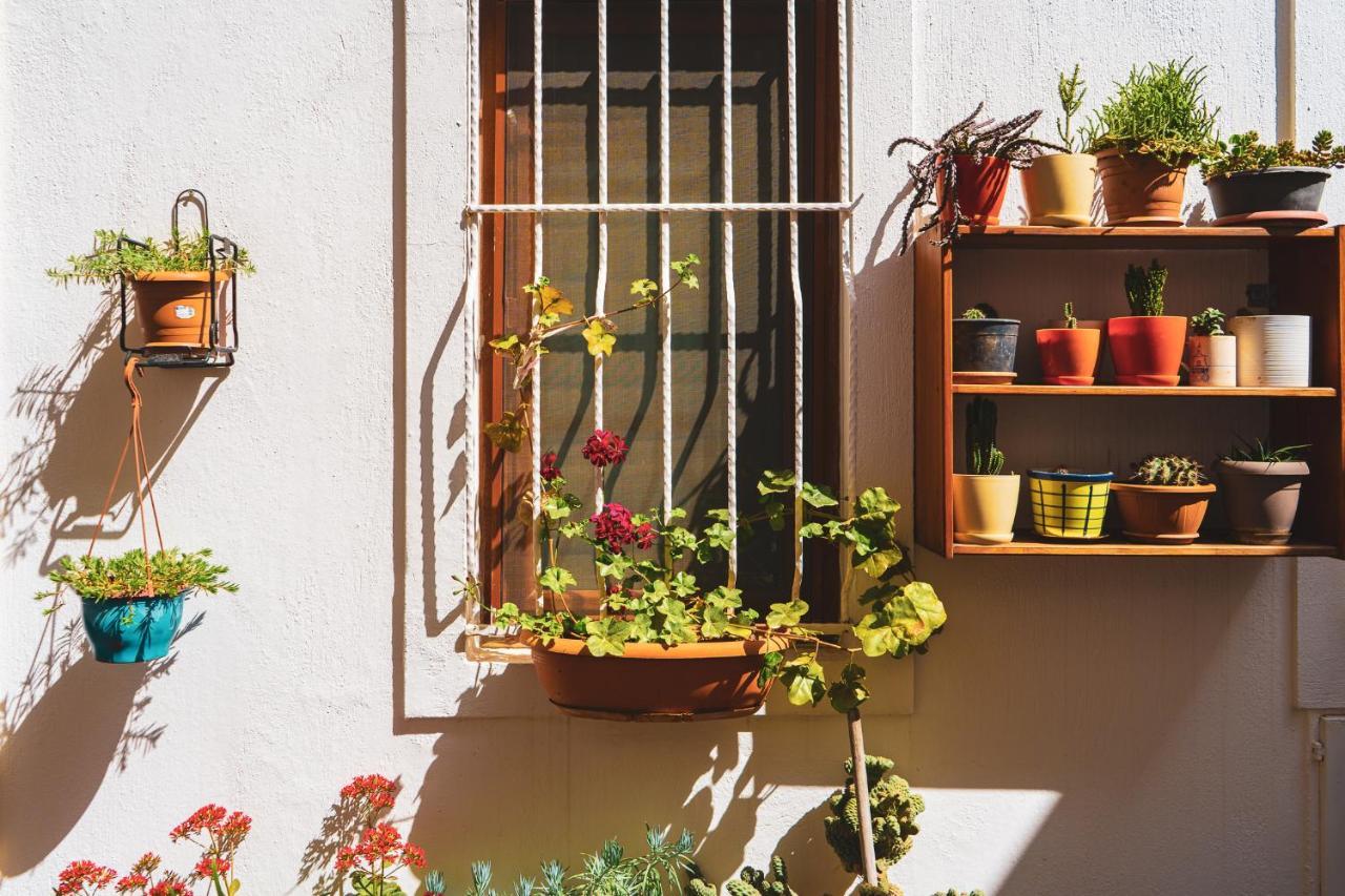 Apartmán Pier Aparts Kalkan Exteriér fotografie